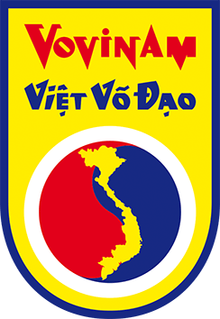 Vovinam Viet Vo Dao Lyon Le Club De Vietvodao De Lyon